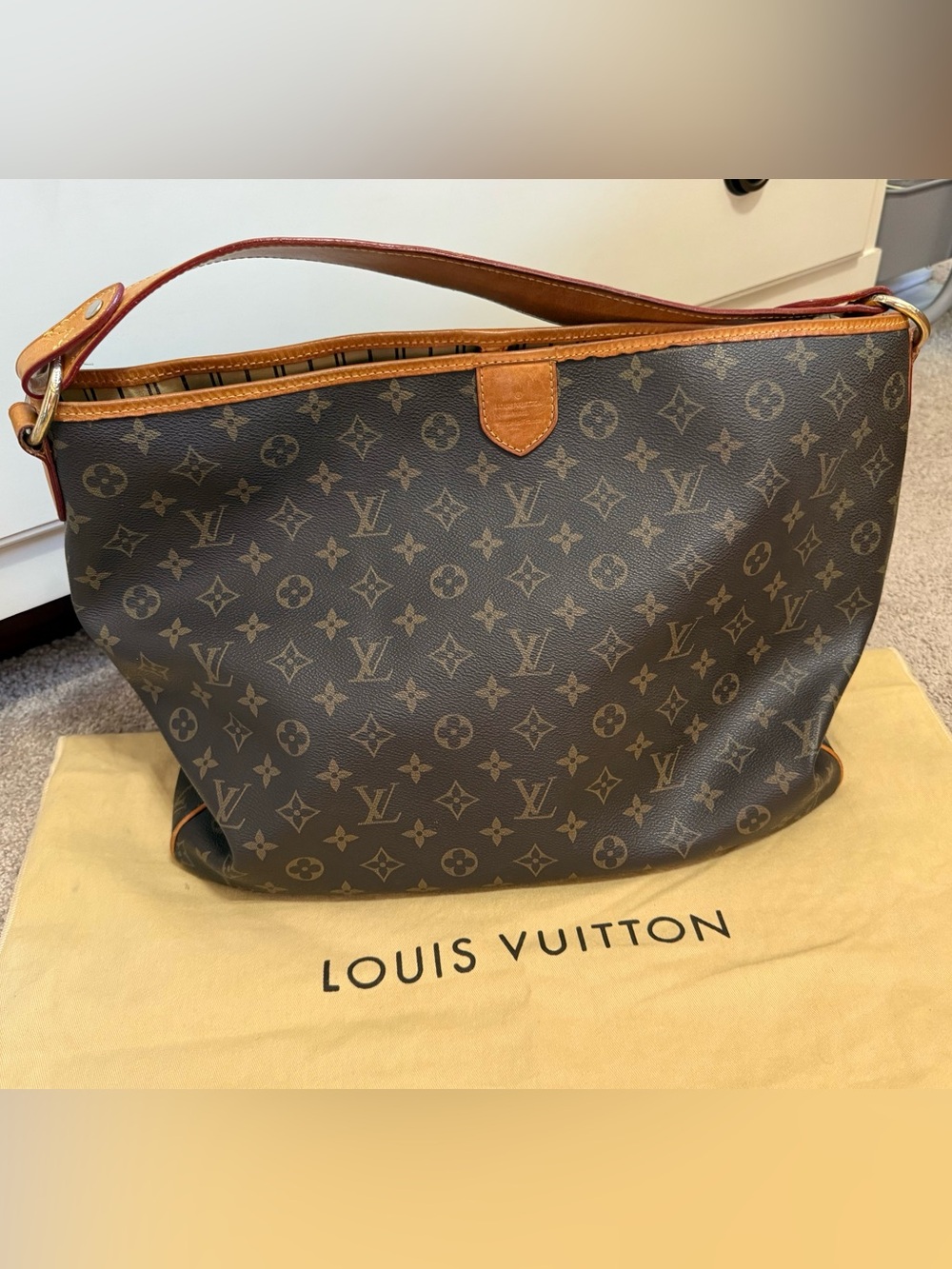 Louis Vuitton Monogram Delightful